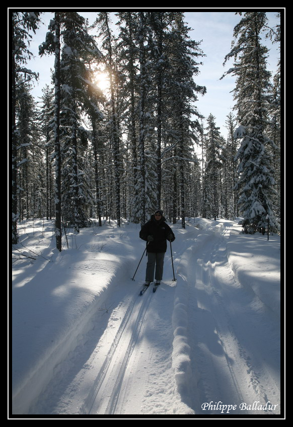 Ski de fond dans la forêt boréale du Québec. Ski_Borealie_Mistassini_01
