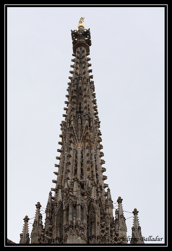 Cathédrale St Etienne de Vienne (Autriche) St_Etienne_Vienne_06