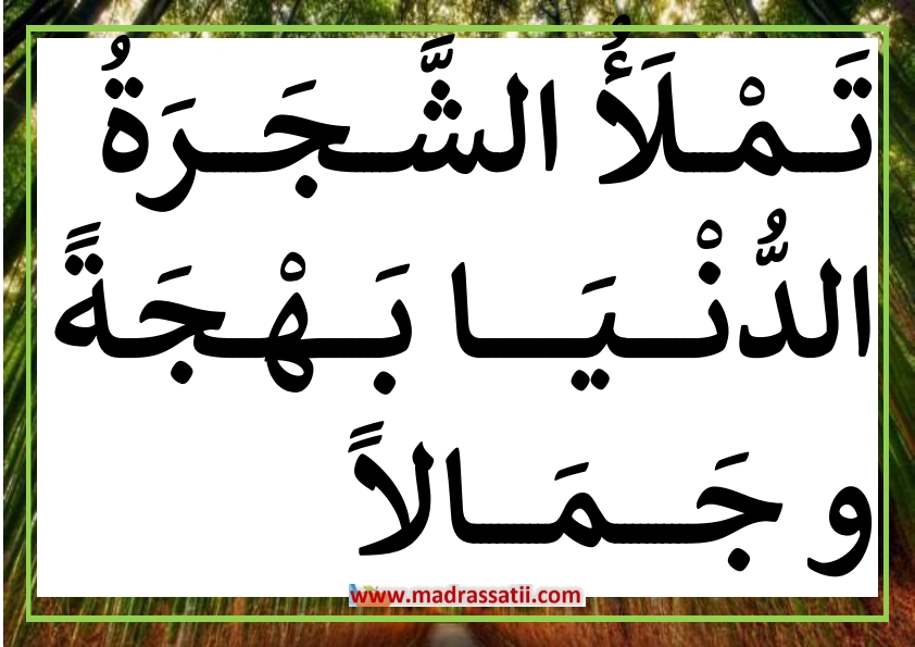 فوائد الاشجار %D8%A7%D9%82%D9%88%D8%A7%D9%84-%D9%88-%D8%AD%D9%83%D9%85-%D8%B9%D9%86-%D9%81%D9%88%D8%A7%D8%A6%D8%AF-%D8%A7%D9%84%D8%B4%D8%AC%D8%B1%D8%A9-%D9%82%D9%8A%D9%85%D8%A9-%D8%A7%D9%84%D8%B4%D8%AC%D8%B1%D8%A9-madrassatii-com_008