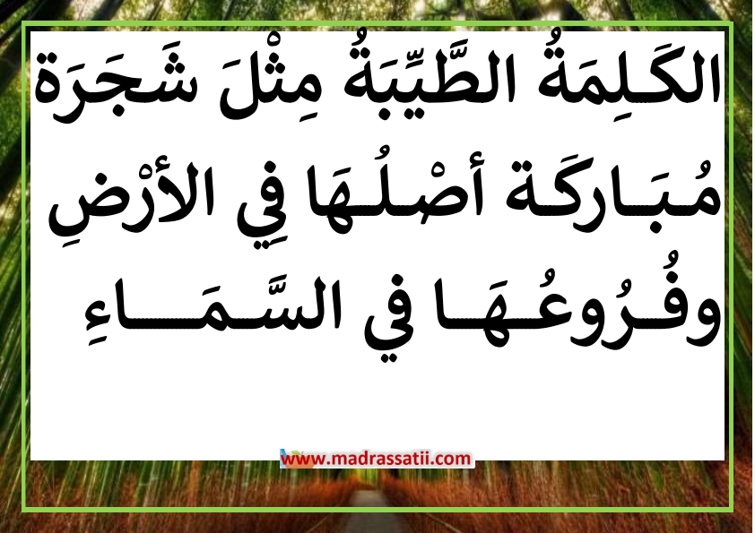 فوائد الاشجار %D8%A7%D9%82%D9%88%D8%A7%D9%84-%D9%88-%D8%AD%D9%83%D9%85-%D8%B9%D9%86-%D9%81%D9%88%D8%A7%D8%A6%D8%AF-%D8%A7%D9%84%D8%B4%D8%AC%D8%B1%D8%A9-%D9%82%D9%8A%D9%85%D8%A9-%D8%A7%D9%84%D8%B4%D8%AC%D8%B1%D8%A9-madrassatii-com_014