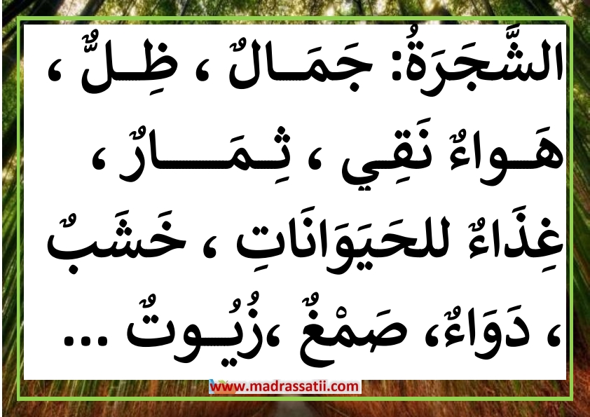 فوائد الاشجار %D8%A7%D9%82%D9%88%D8%A7%D9%84-%D9%88-%D8%AD%D9%83%D9%85-%D8%B9%D9%86-%D9%81%D9%88%D8%A7%D8%A6%D8%AF-%D8%A7%D9%84%D8%B4%D8%AC%D8%B1%D8%A9-%D9%82%D9%8A%D9%85%D8%A9-%D8%A7%D9%84%D8%B4%D8%AC%D8%B1%D8%A9-madrassatii-com_017