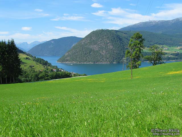 Wiese am Fluss (Lager) Wiese