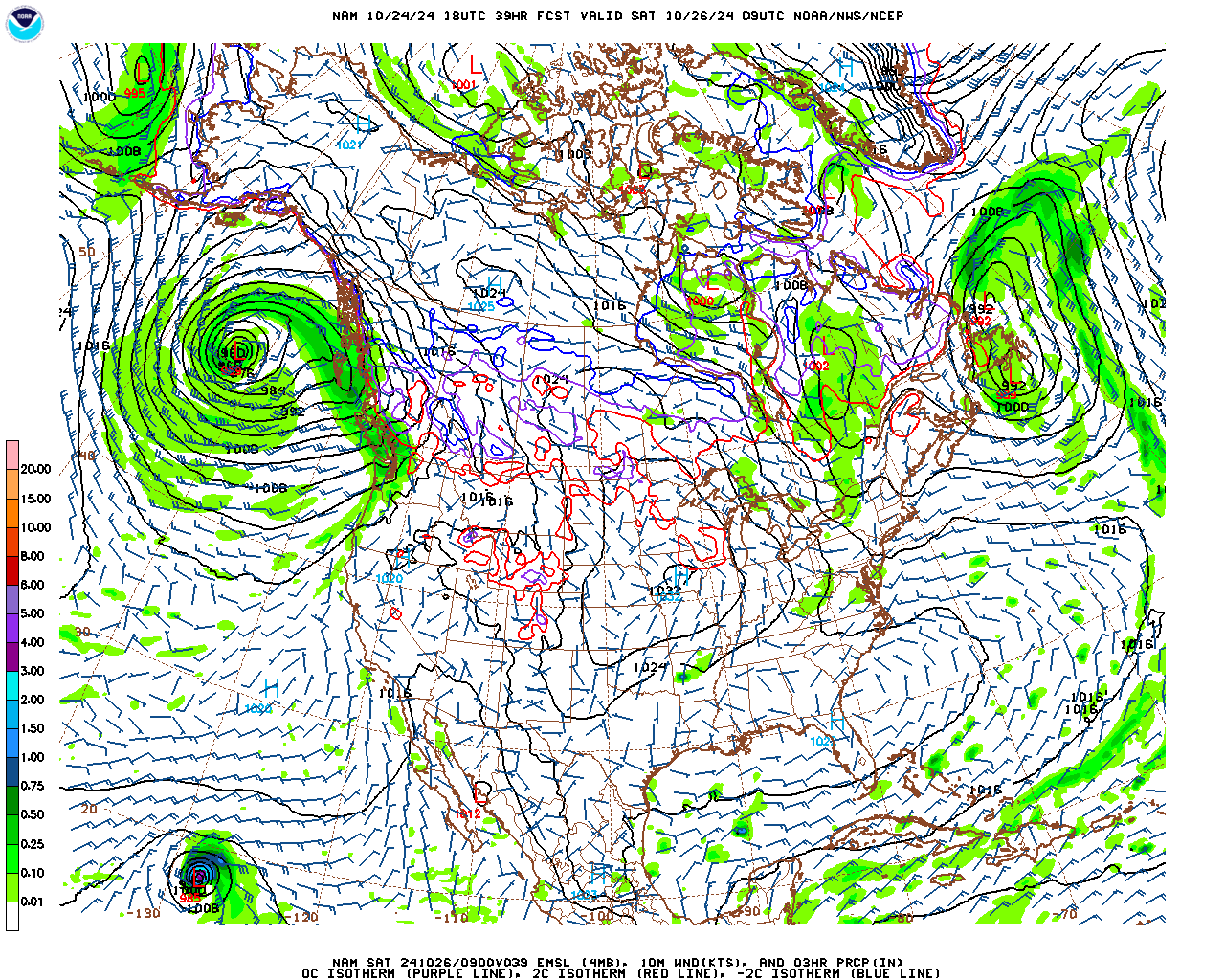 Possible Nor'easter Dec. 9th-10th - Page 11 Nam_namer_039_10m_wnd_precip