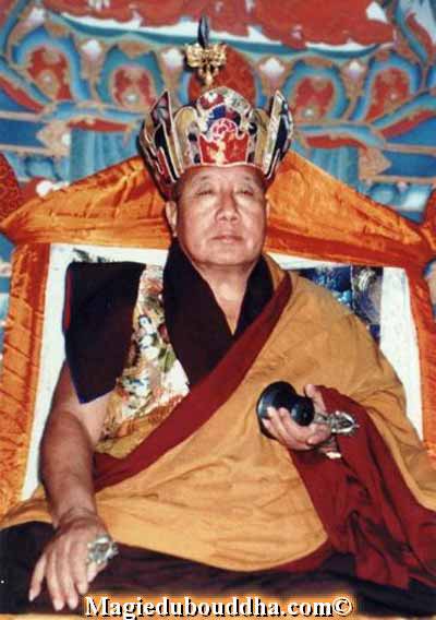 Penor Rinpoché Ceremony-penor-rinpoche