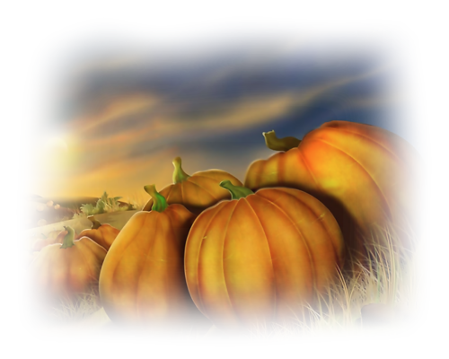 L'automne. - Page 3 D67096ff