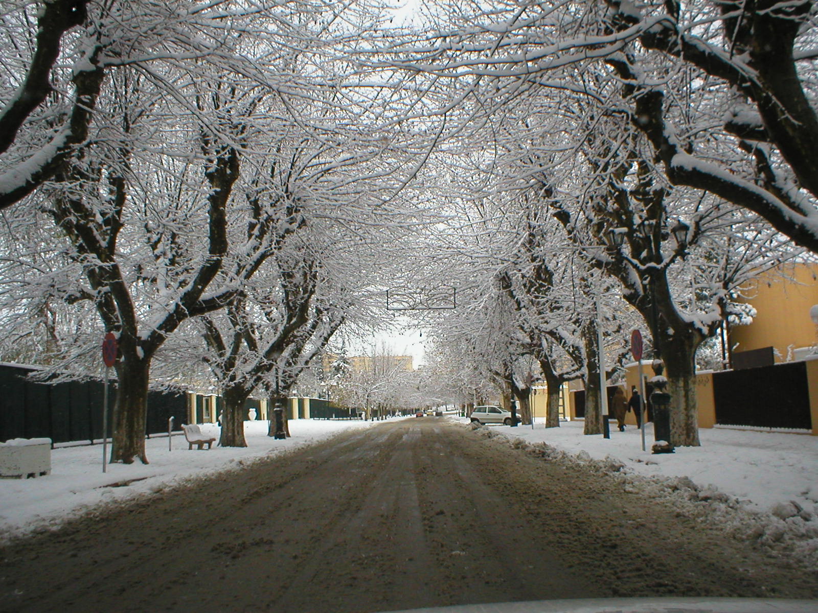 موسوعة المدن الجزائرية Tlemcen