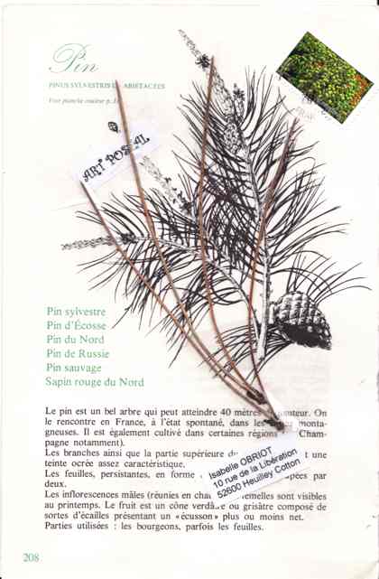 Galerie Botanique, Merci Lysemartin p16 - Page 8 Pascalou-21.11.12