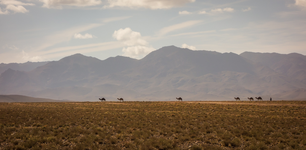 Virée facile Maroc 2015 - Page 30 Roadtrip_maroc_10-2015_ben-00543