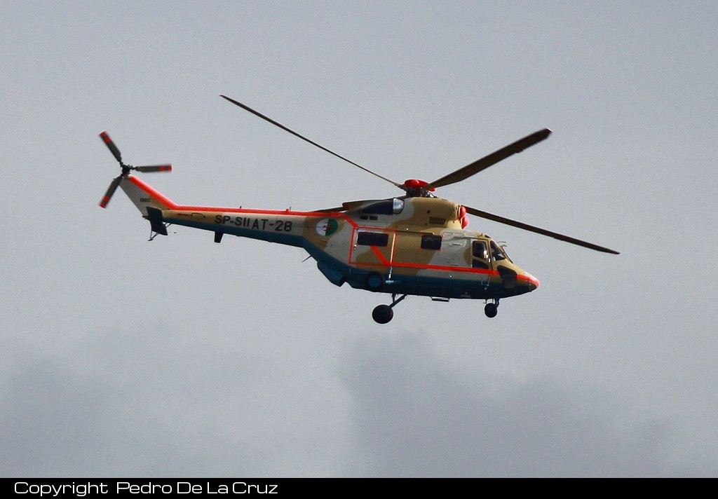 صور مروحيات القوات الجوية الجزائرية  [  PZL-Swidnik W-3A  SOKOL  ] - صفحة 3 88955c06b82cf369b1ef5893f66fc238