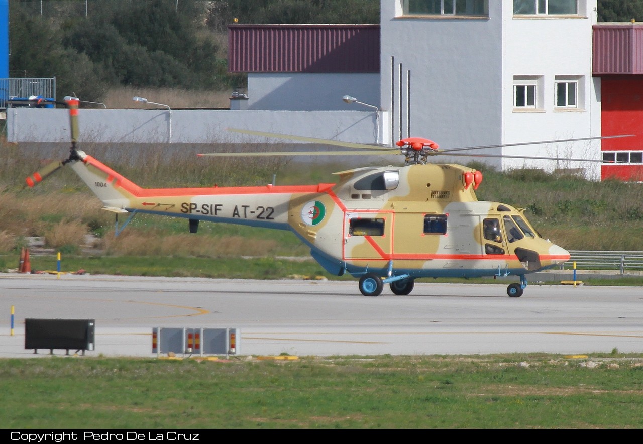 صور مروحيات القوات الجوية الجزائرية  [  PZL-Swidnik W-3A  SOKOL  ] - صفحة 3 D2ae28ea7942461ed644ca787a94afff