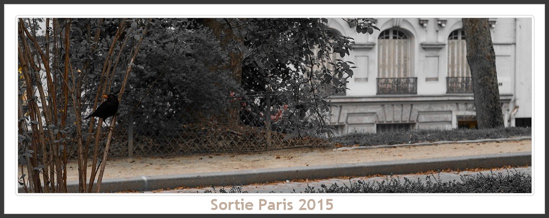 Sortie ANNIVERSAIRE 2015 PARIS 1I AVRIL. Paris_KparK_2015_02