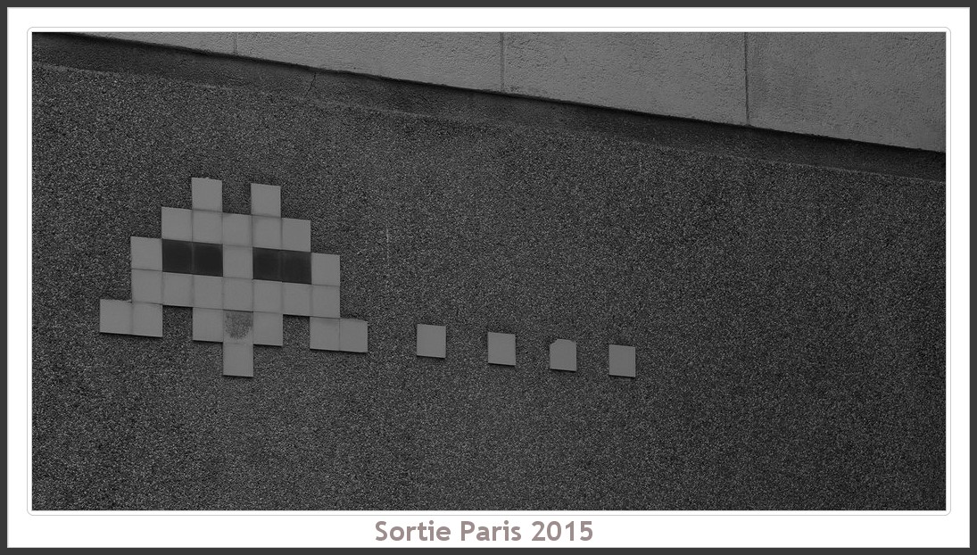 Sortie ANNIVERSAIRE 2015 PARIS 1I AVRIL. Paris_KparK_2015_03