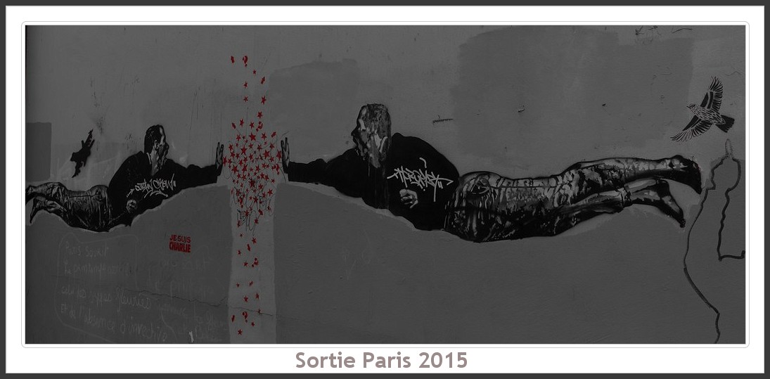 Sortie ANNIVERSAIRE 2015 PARIS 1I AVRIL. - Page 4 Paris_KparK_2015_12