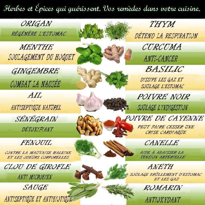 Herbes et épices qui guérissent  + autres Hgjghj_1