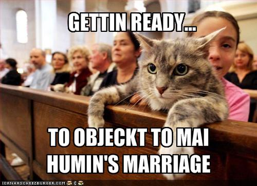 有趣結婚咭 - 頁 2 Funny-pictures-cat-is-ready-to-object-to-your-marriage