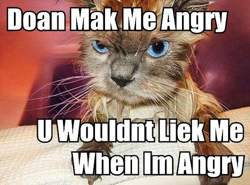 The EVILS of SPAMMING Angry-lolcat1