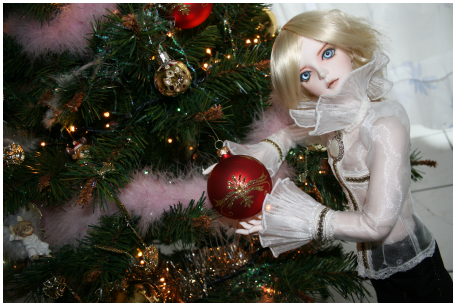 Participations Mister Passion BJD Noël 2008 Noel