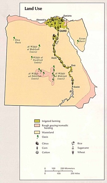 مجموعة صور عن التعديات على الأراضى الزراعية Egypt-Land-Use-Map.mediumthumb