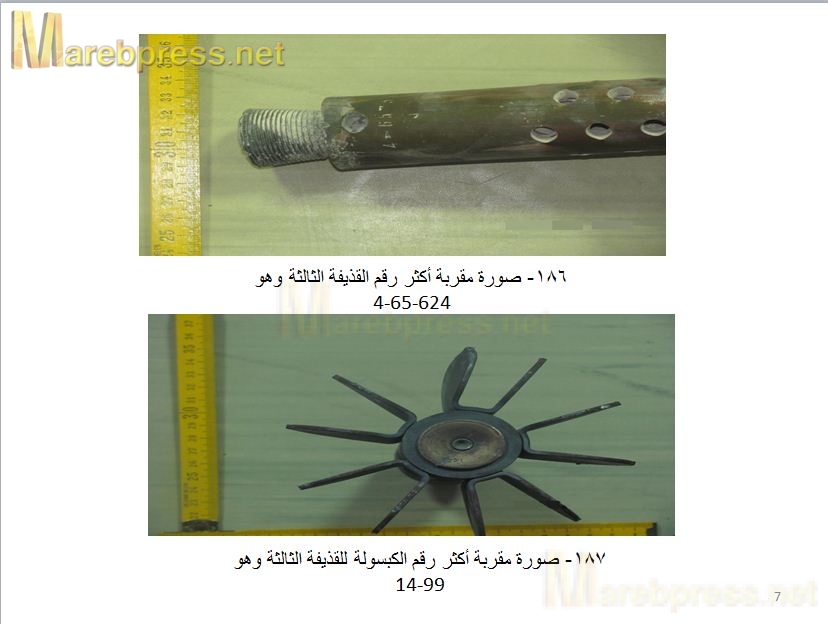 نشر النتائج السرية للجنة التحقيق في حادث النهدين، . صور 16010.1338934493.91