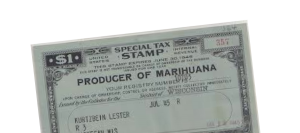 Marijuana extract slashes pediatric seizures, landmark study confirms Tax-marijuana-300x133