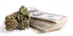 No Problem Man: Oregon Set to Become First State to Legalize Marijuana Business Banking MarijuanaCannabisCash-250x125