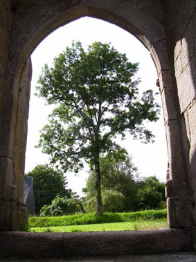 Les logos du forum Botmel-porche-arbre1-10