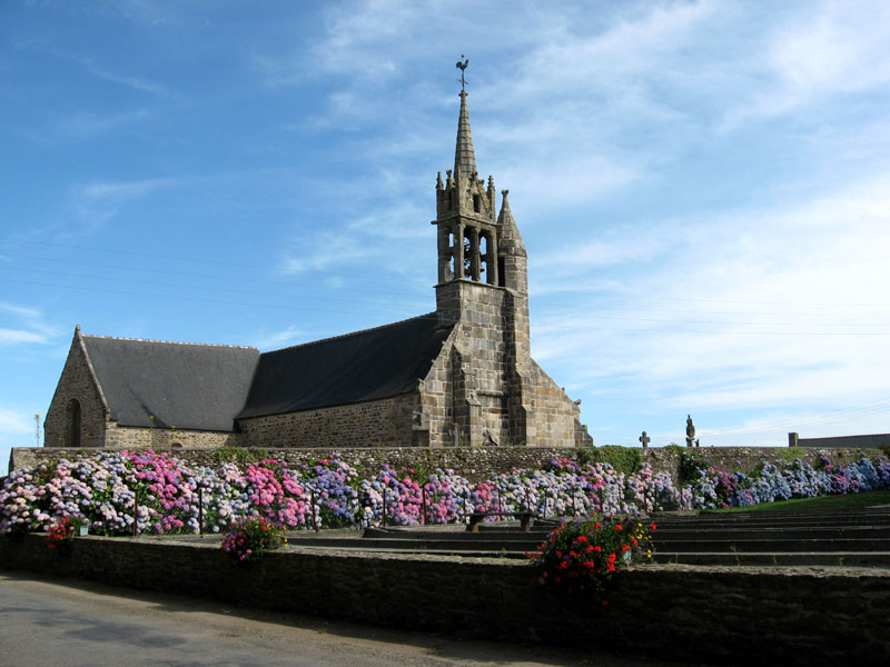 Hortensia Eglise-n-o-hortensias