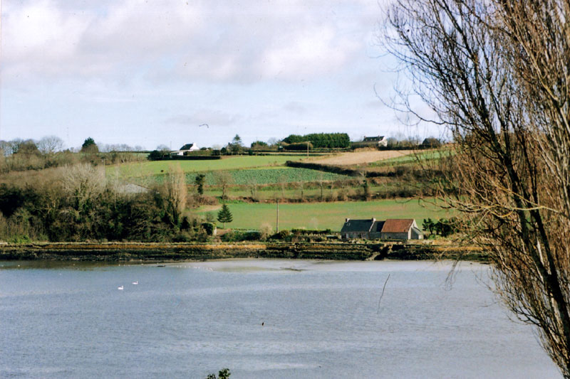 Treguier - Page 3 Moulins-maree-cygnes