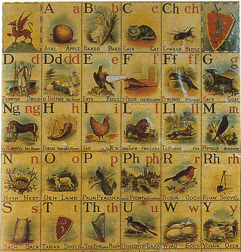 l'alphabet gallois Alphabet-gallois