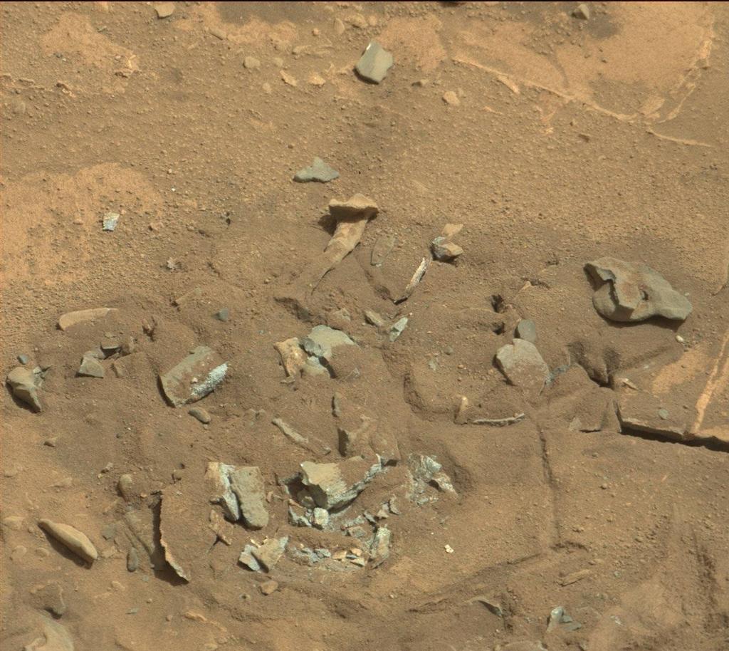 On a trouvé un os sur la planète Mars. Mars-fossil-thigh-femur-bone-like-Curiosity-rover-mastcam-0719MR0030550060402769E01_DXXX-br2