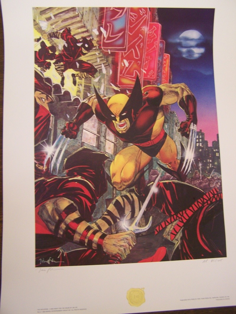 GREEN GALLERY WOLVERINE__A_Bad_Night_For_Ninja__by_Jim_Lee