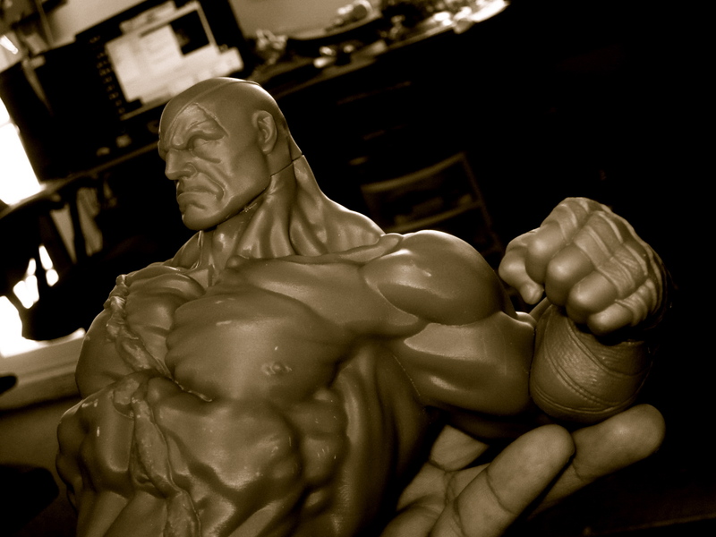 Statue Sagat Street Fighter 1/6 Img4582u