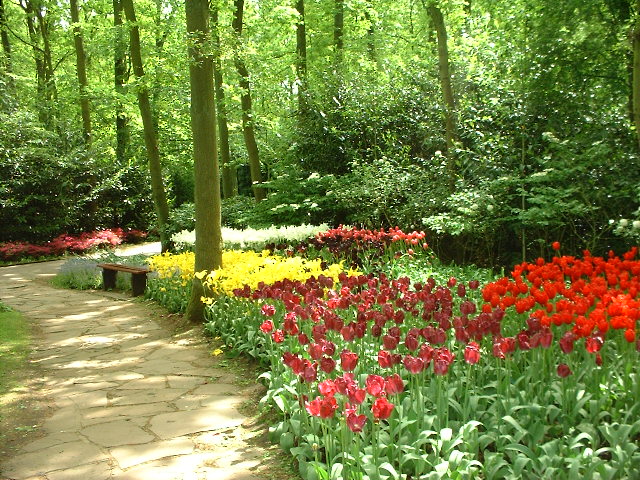 **..!!(( هولندا مدينة الورود)) **..!! Keukenhof_13