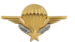 Les différents types de brevet parachutiste. Brevet-para-cadres