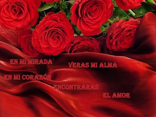 corazones enamorados...poemas - Página 7 16611dab05b67b52898502f5dee65c52