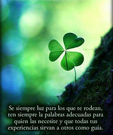 VIERNES 12 DE DICIEMBRE DE 2014. POR FAVOR DEJEN SUS SALUDOS Y DEMÁS COMENTARIOS AQUÍ. GRACIAS.♥ 6d5f824856116fa2141ea0b2c595777e