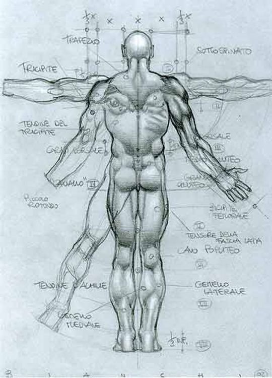 مراجع تشريح Anatomy references Vol 1 7db6a83cb14c3182fa0bdfc8211ecf4c