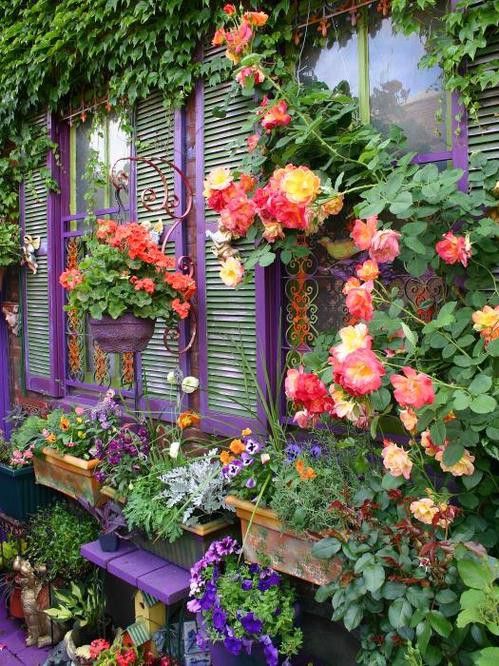 roses, geraniums, pansies, petunias, dusty miller - lovely!