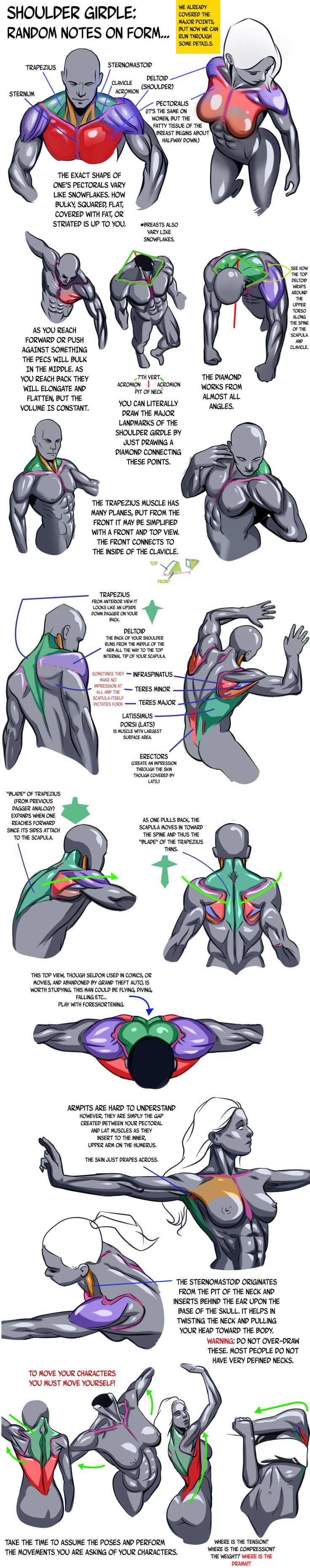 مراجع تشريح Anatomy references Vol 1 B6836203a6b751dead267583fa6d9867