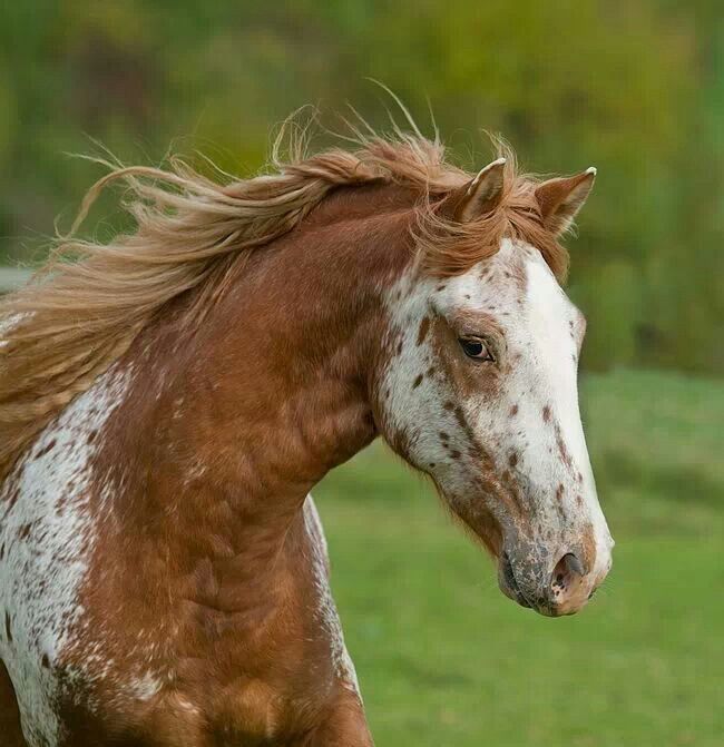 Enorme stock de photos pour GSien déséspéré :P |STOCK| 1be45f71d874b80e89825b553b36ac47