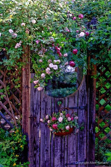 gate into a garden - بوابات حدائق .. ولا أروع !! 6e6dd67b6c6bc6bcfac13d5f2d11d1cd