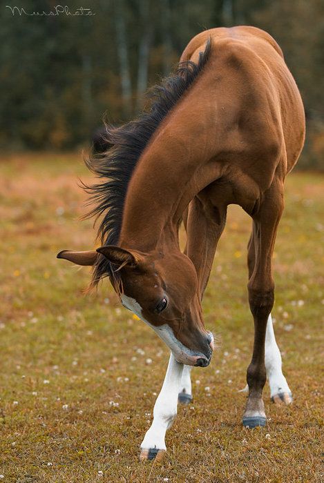 Enorme stock de photos pour GSien déséspéré :P |STOCK| 9bf04ea2b98591620baaddcad30e1a00