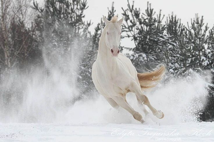 Enorme stock de photos pour GSien déséspéré :P |STOCK| A80904d8682e939b82a2de5b723fbce3