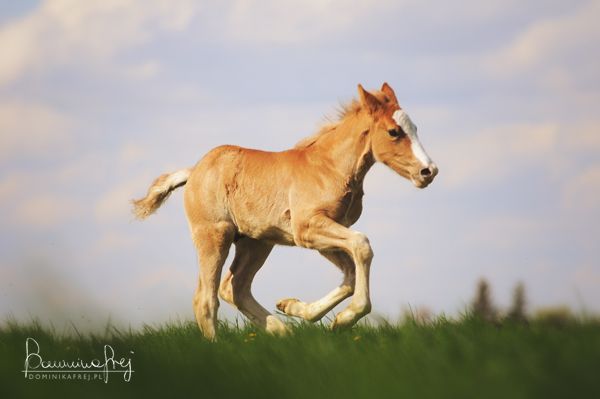 Enorme stock de photos pour GSien déséspéré :P |STOCK| E78fb15a75b5b82b378313469150f7a3