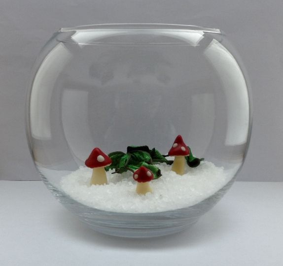 Funghetti per terrarium 9b61f1214b126689445727756877297b