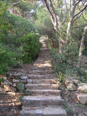 Promenade champtre Park-guell