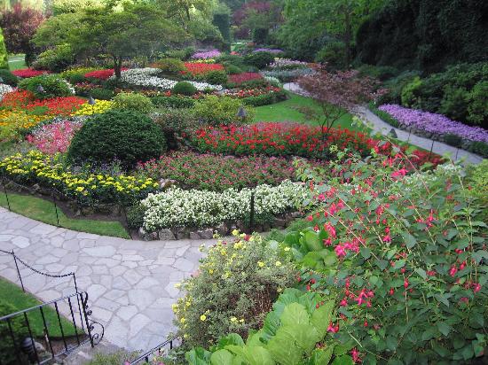 تذوق الجمال في الحدائق و النبات Sunken-gardens