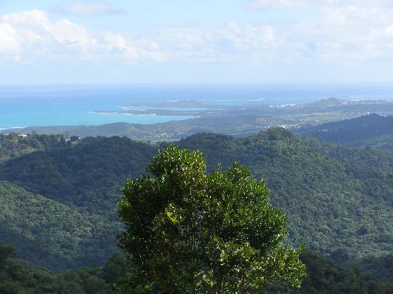 Fotos Puerto Rico View-from-el-yunque-rainforest