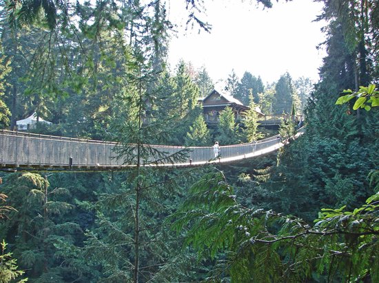 HEROMOSAS FOTOS DE VANCUVER, CANADA - Página 4 Capilano-suspension-bridge