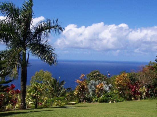 Garten Garden-of-eden